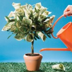 Watering a Money Tree Photo