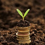 Who Keeps Your Finances on Track?