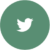 Twitter Circle Icon