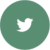 Twitter Circle Icon