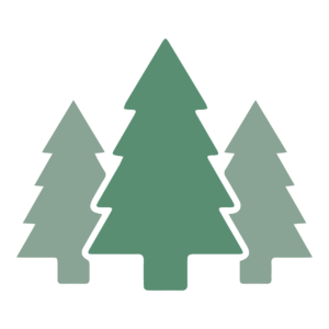 pinetree package Pinetree - 3 trees - green graphic