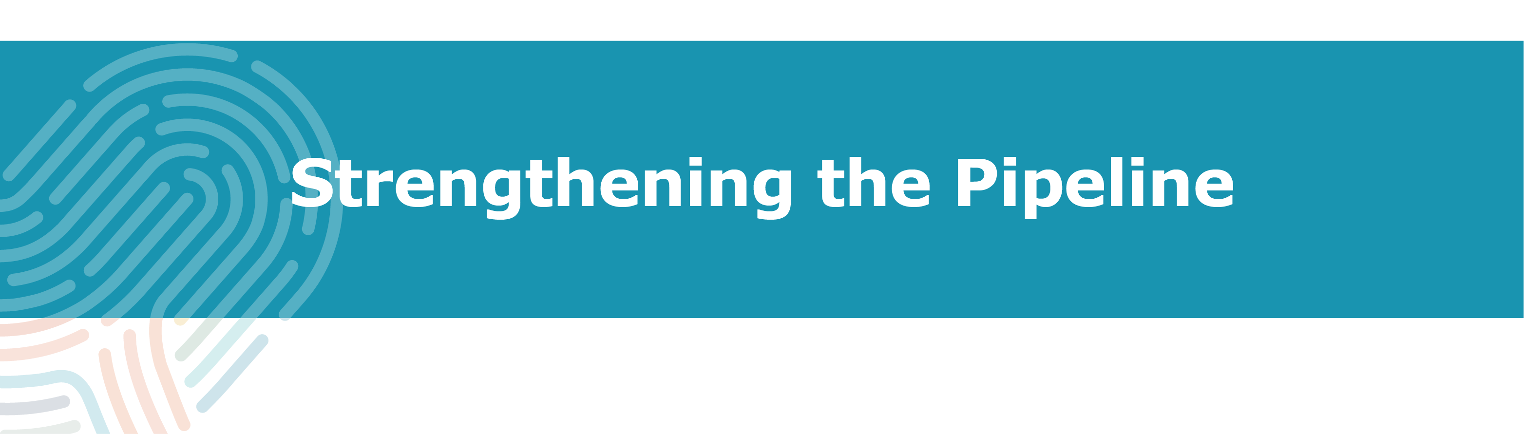 DEI-pipeline Strengthening the Pipeline website header graphic